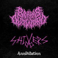 Annihilation