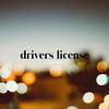 Jason Chen - drivers license