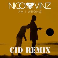 Am I Wrong (CID Remix)