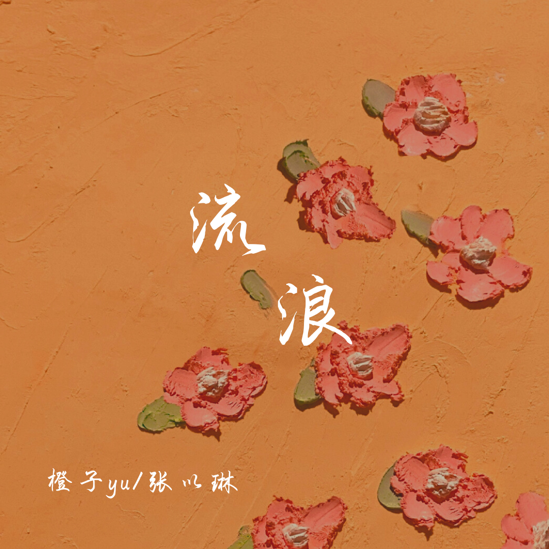 流浪（伴奏）封面
