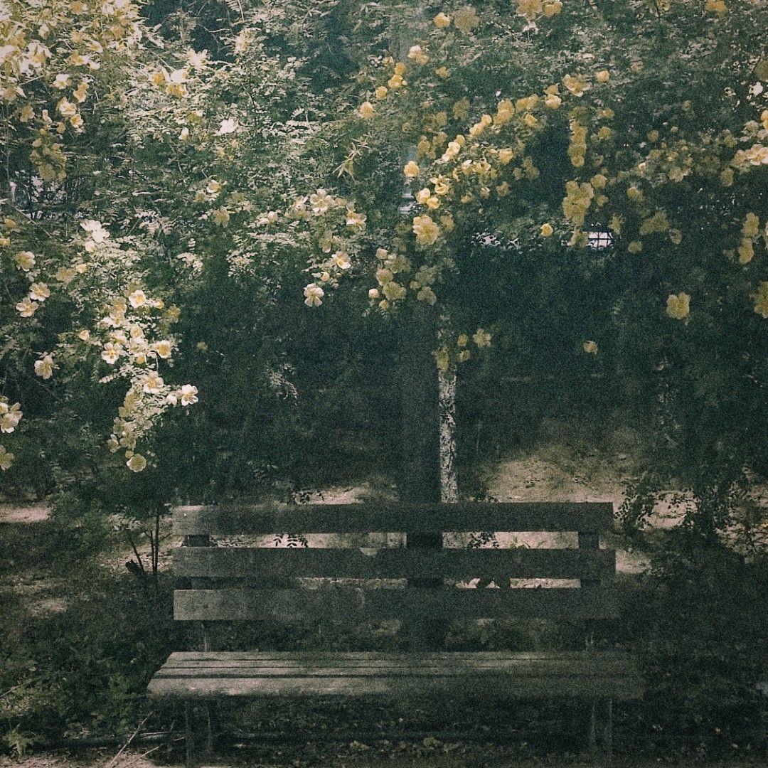 你的梦里会有我吗