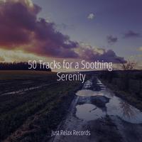 50 Tracks for a Soothing Serenity