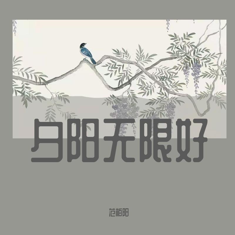 崇拜(Live)封面