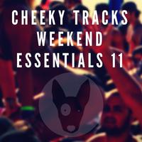 Cheeky Tracks Weekend Essentials 11