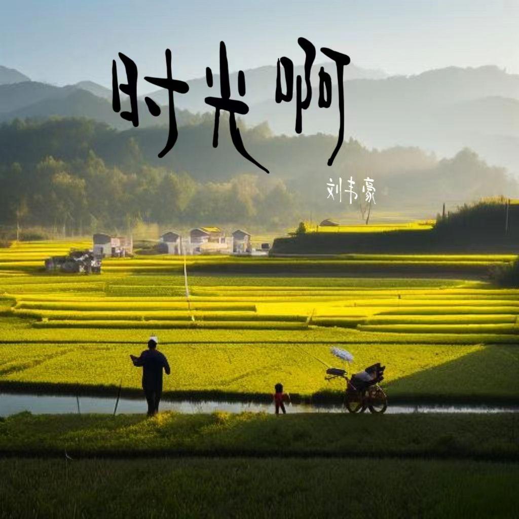 时光啊（Live)封面