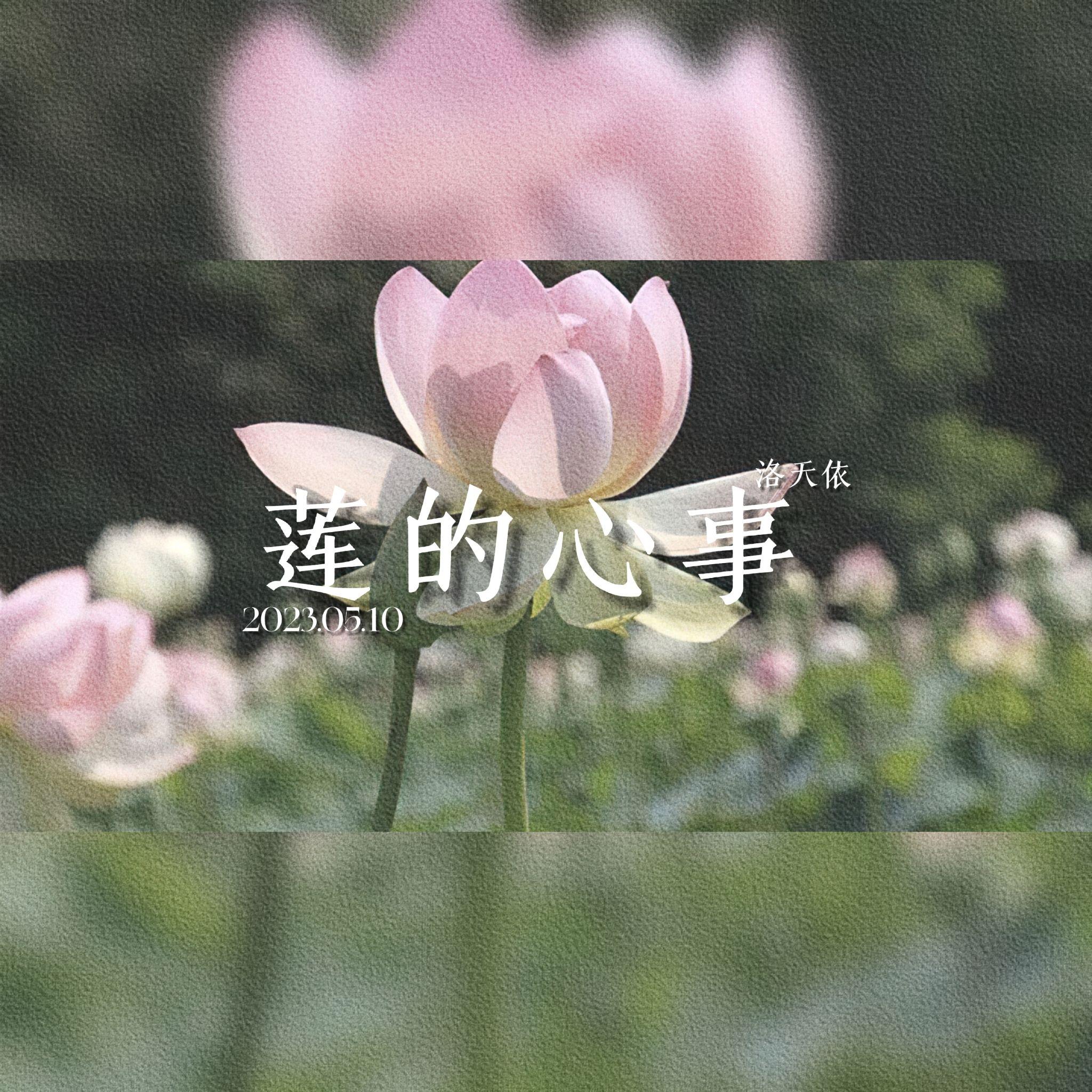 莲的心事（Cover：乌兰托娅） - 洛天依、暮色未量封面