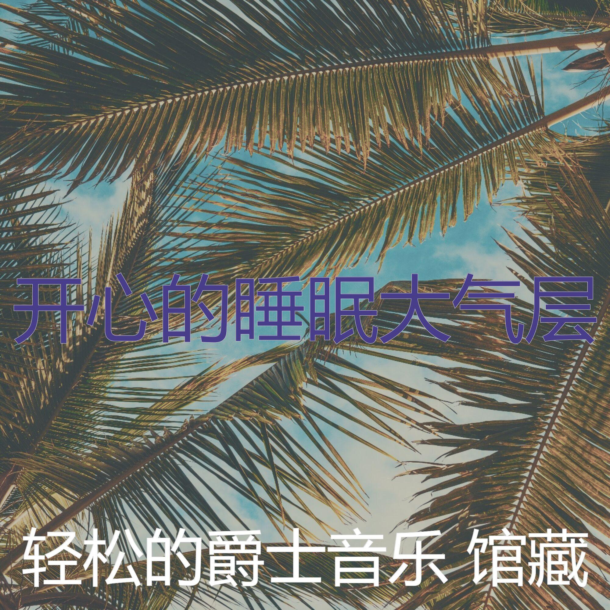 诗意的健康节奏封面
