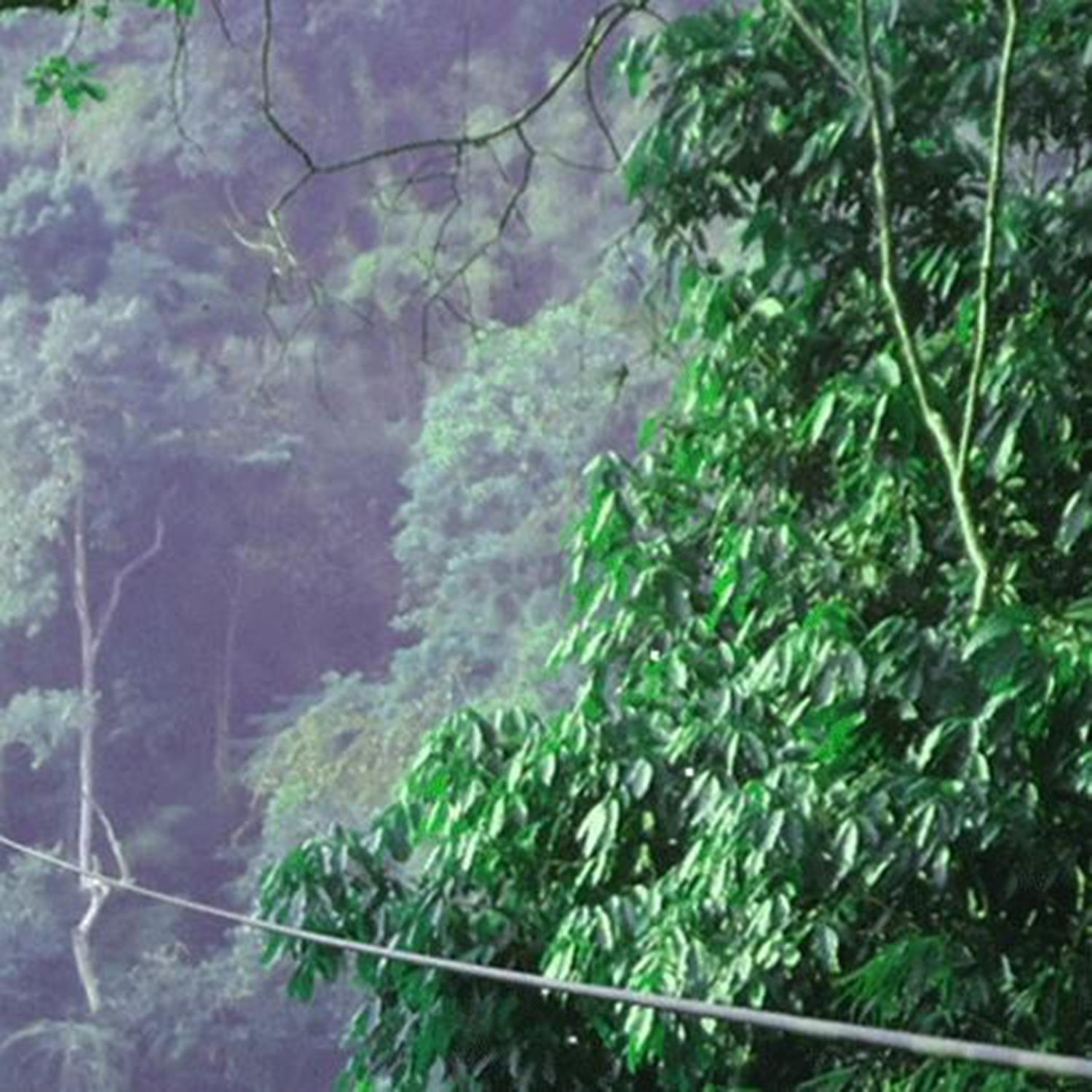 Treehouse._Beakers_Treehouse. | 在线播放_Treehouse.歌词_Treehouse.下载 | 网易云音乐