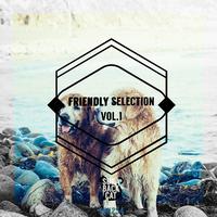 Friendly Selection, Vol. 1