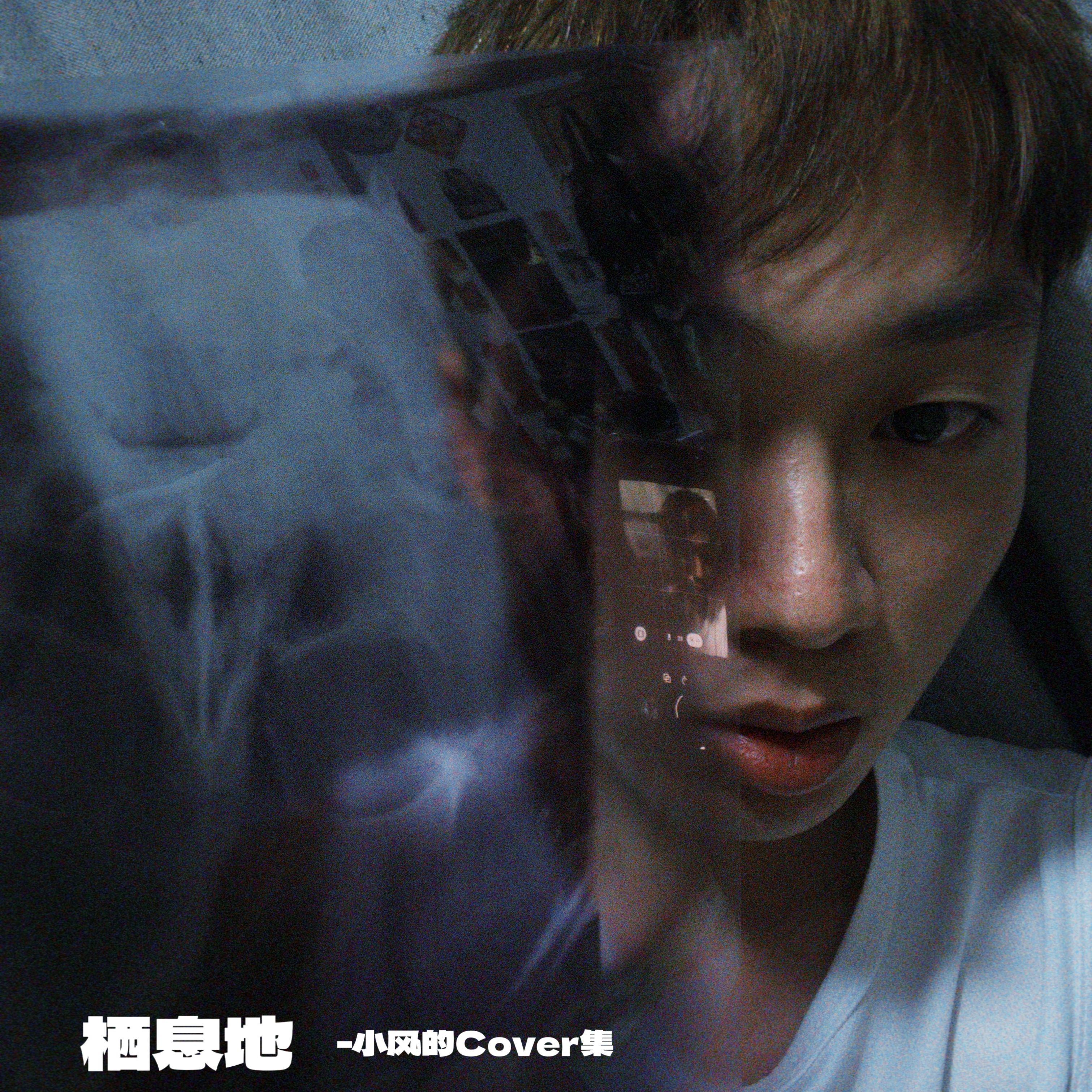 是你治愈了我的孤单（Cover. 林忆莲）封面