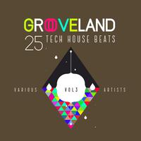 Grooveland (25 Tech House Beats), Vol. 3