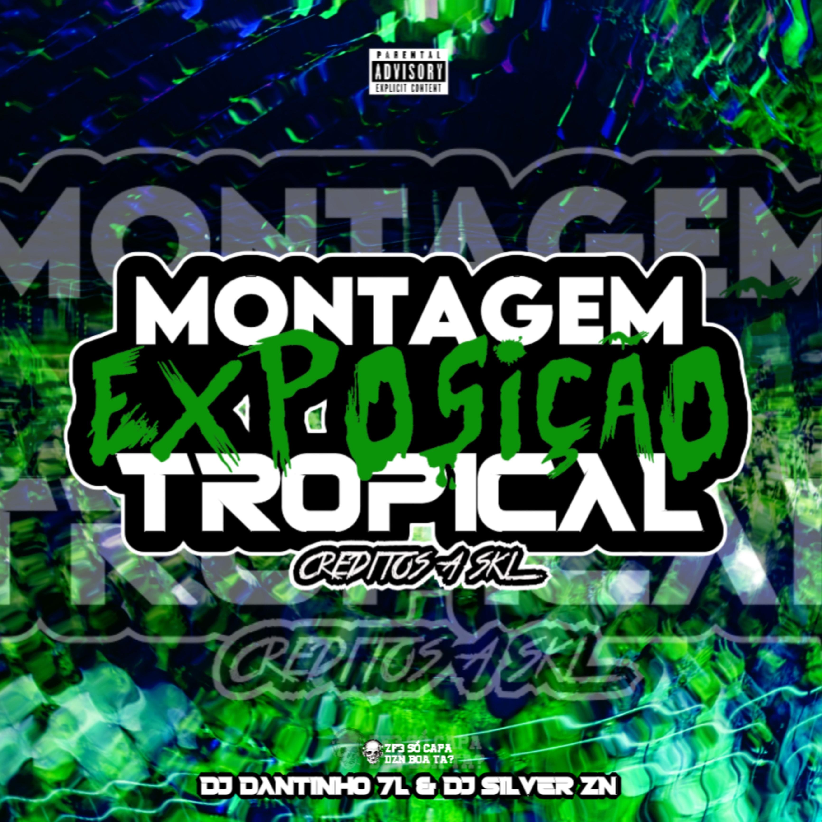 Montagem Exposição Tropical