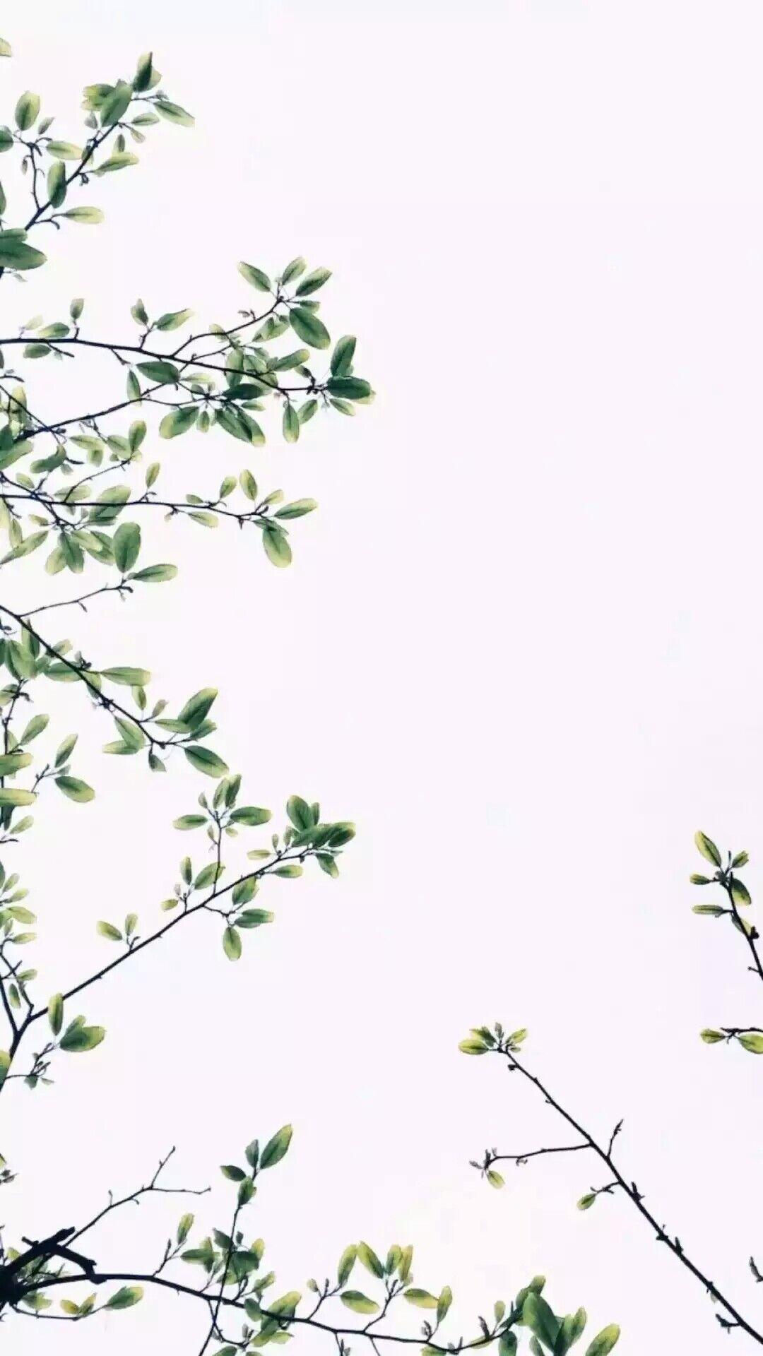 所以来吧 - CKPPL封面