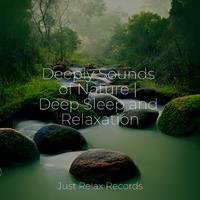 Deeply Sounds of Nature | Deep Sleep and Relaxation