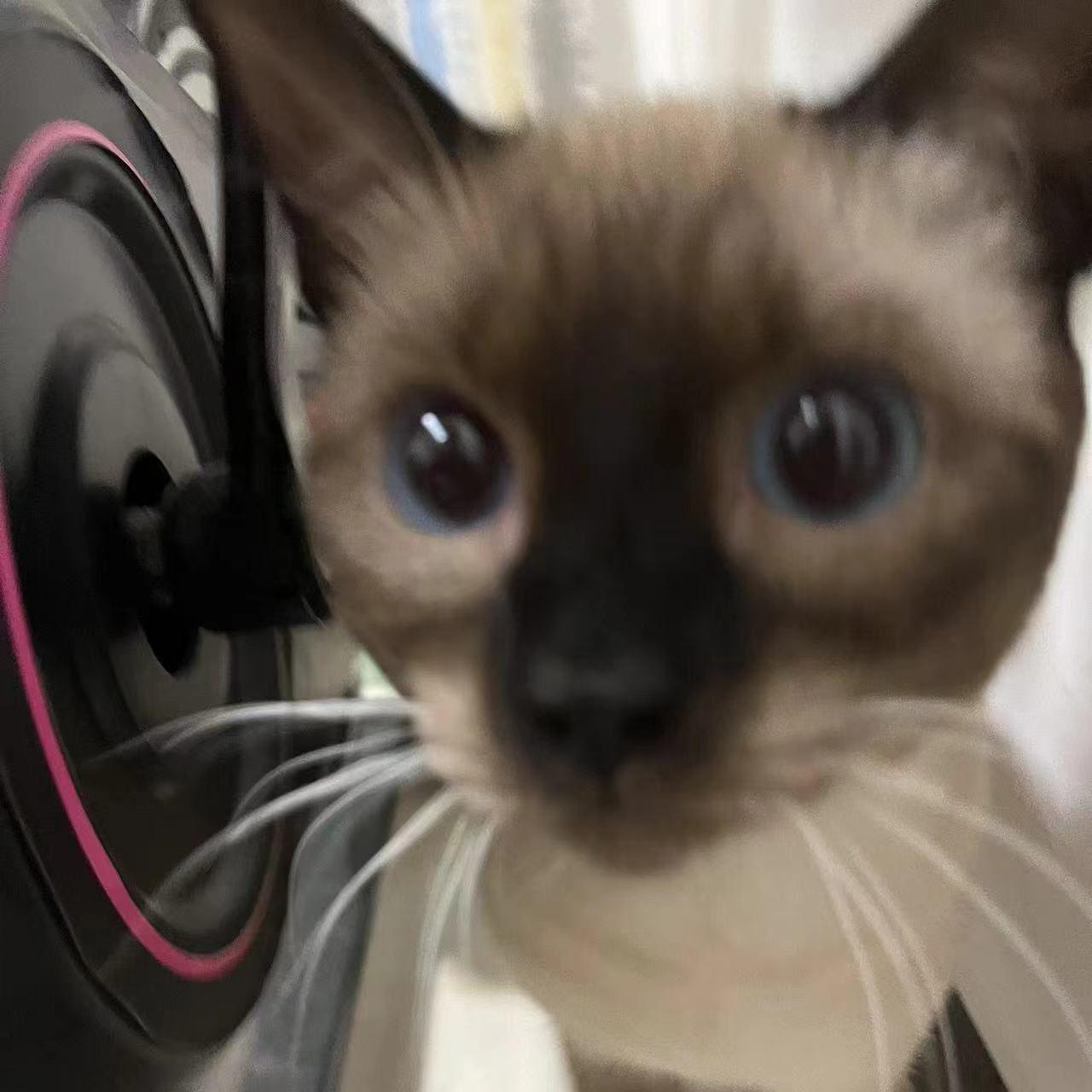 [FREE]“Crush”地下说唱伴奏