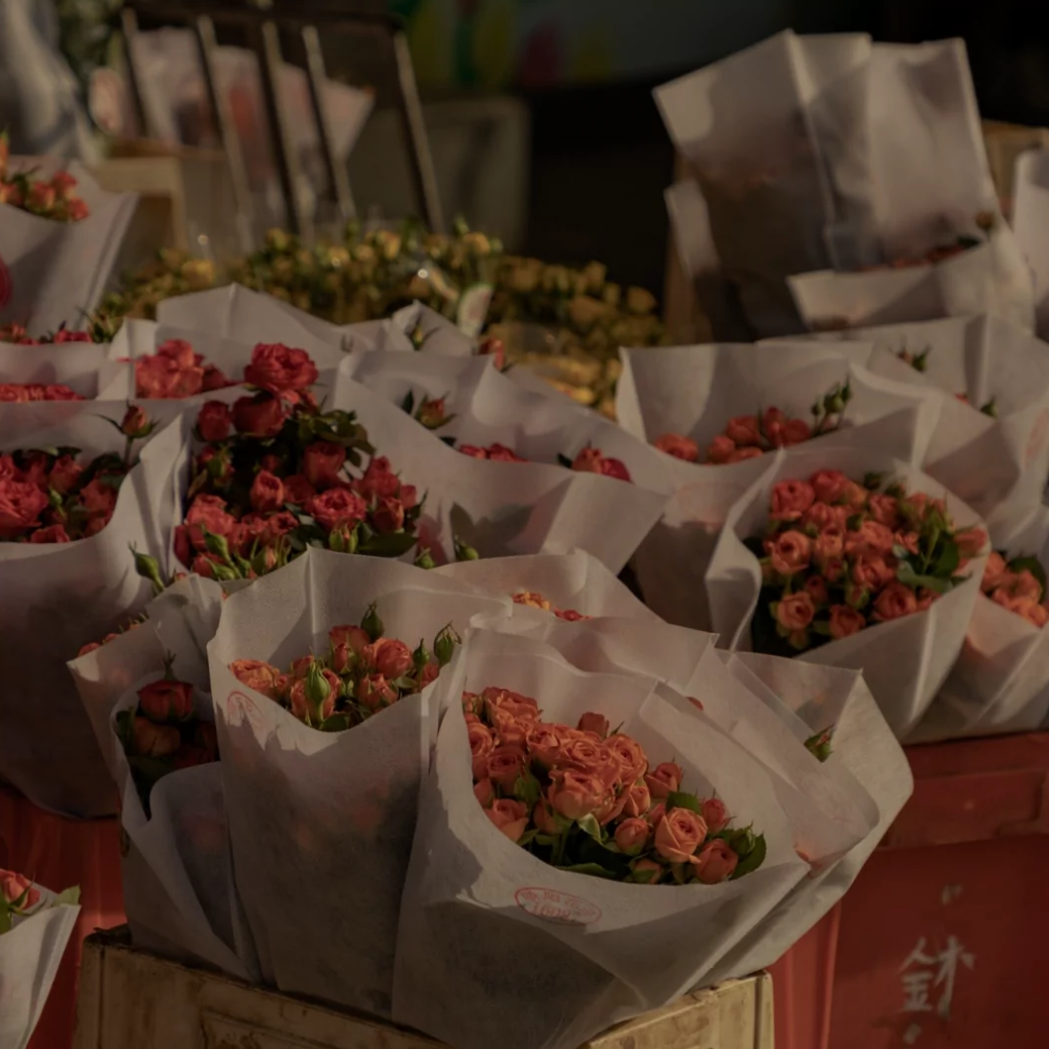 玫瑰（翻自 贰佰）