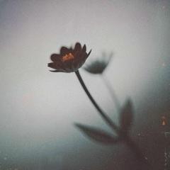 Moshi Moshi (feat. Nozomi Kitay)