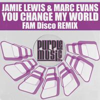 Change My World (FAM Disco Remix)