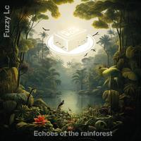 Echoes of the rainforest