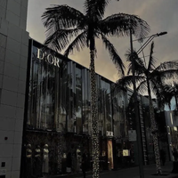 陈雨泽 - 影子爱人-dj旋律