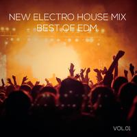 New Electro House Mix Best of EDM, Vol. 01