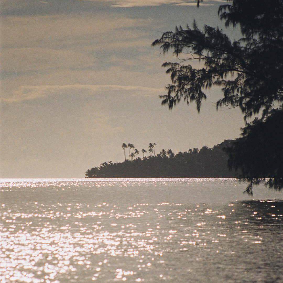 kiqalari（夜晚）