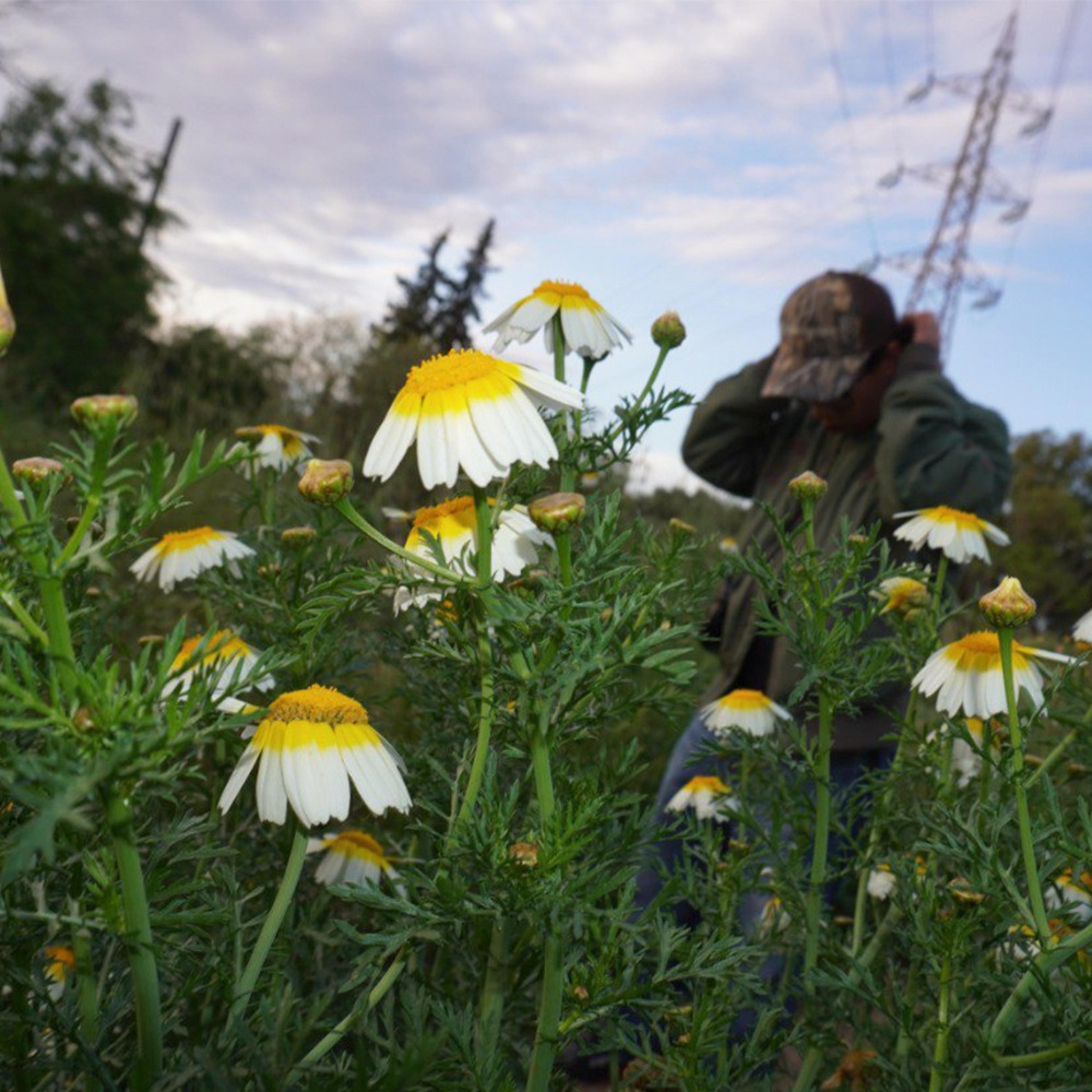 AGOBIO #AfroRepublic