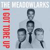 The Meadowlarks - Blue Moon