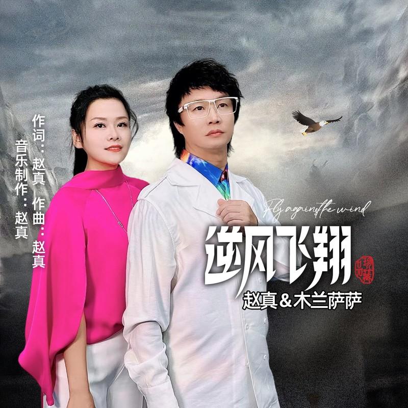 逆风飞翔封面