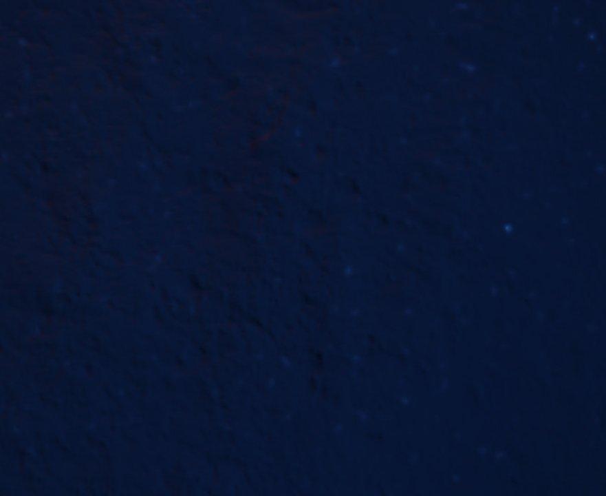 s1.别网恋