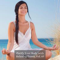 Purify Your Body with Relaxing Tunes, Vol. 07