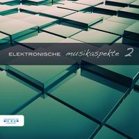 Elektronische Musikaspekte, Vol. 2