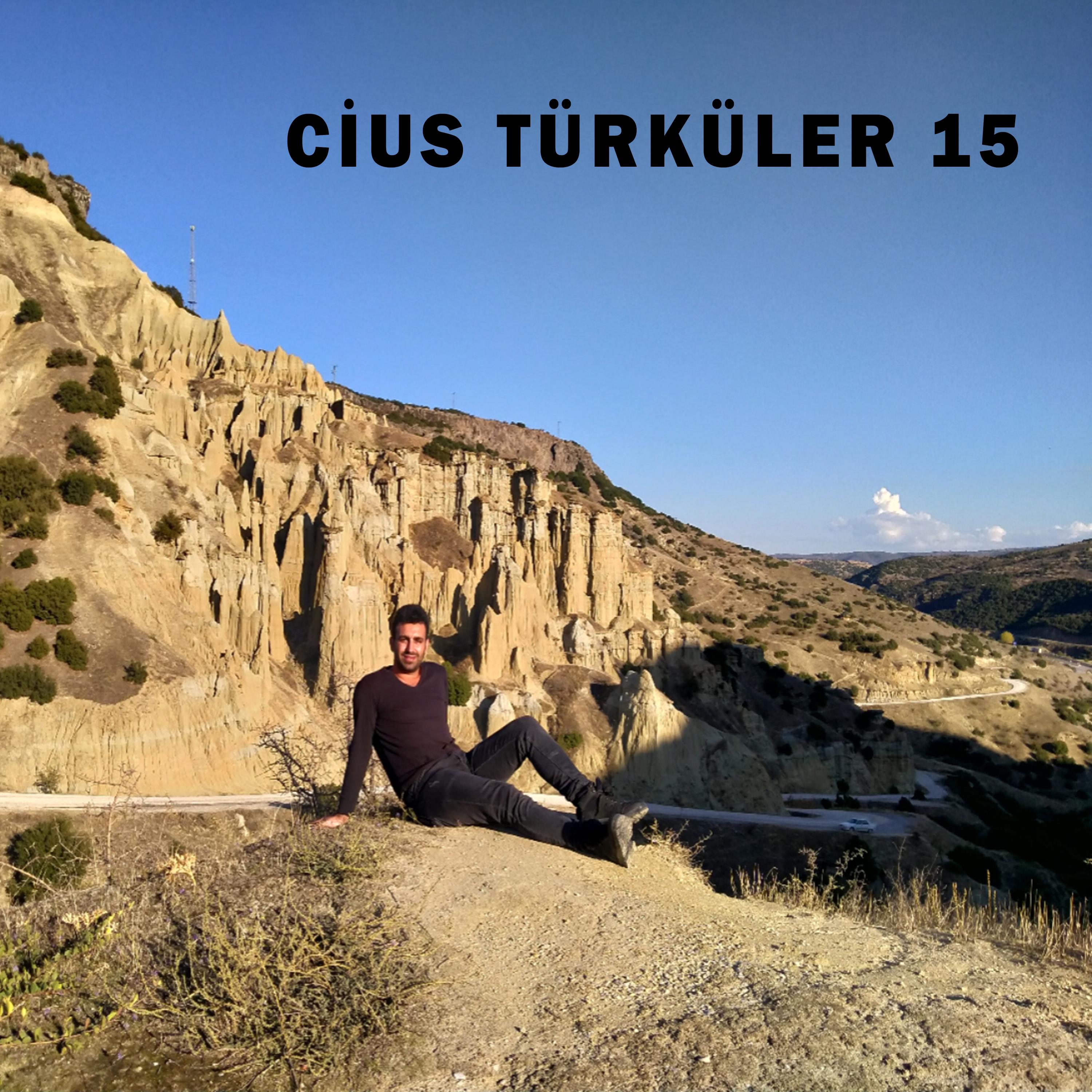 Yollar Seni Gide Gide Usandım