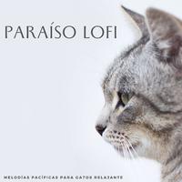 Paraíso Lofi: Melodías Pacíficas Para Gatos Relajantes