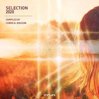 Selection 2020 (Compiled by Cubixx & Jensson)