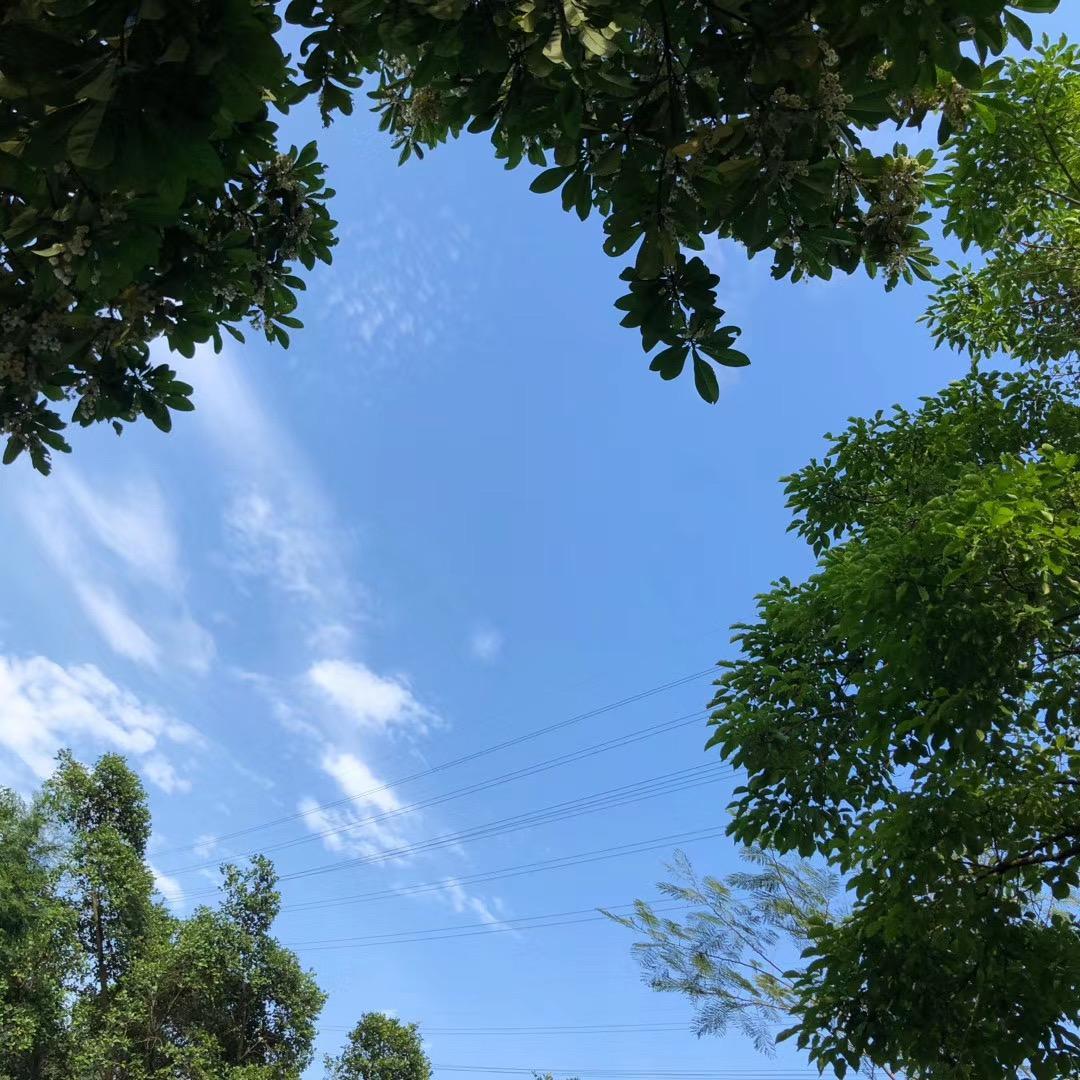 爱我！（demo）封面
