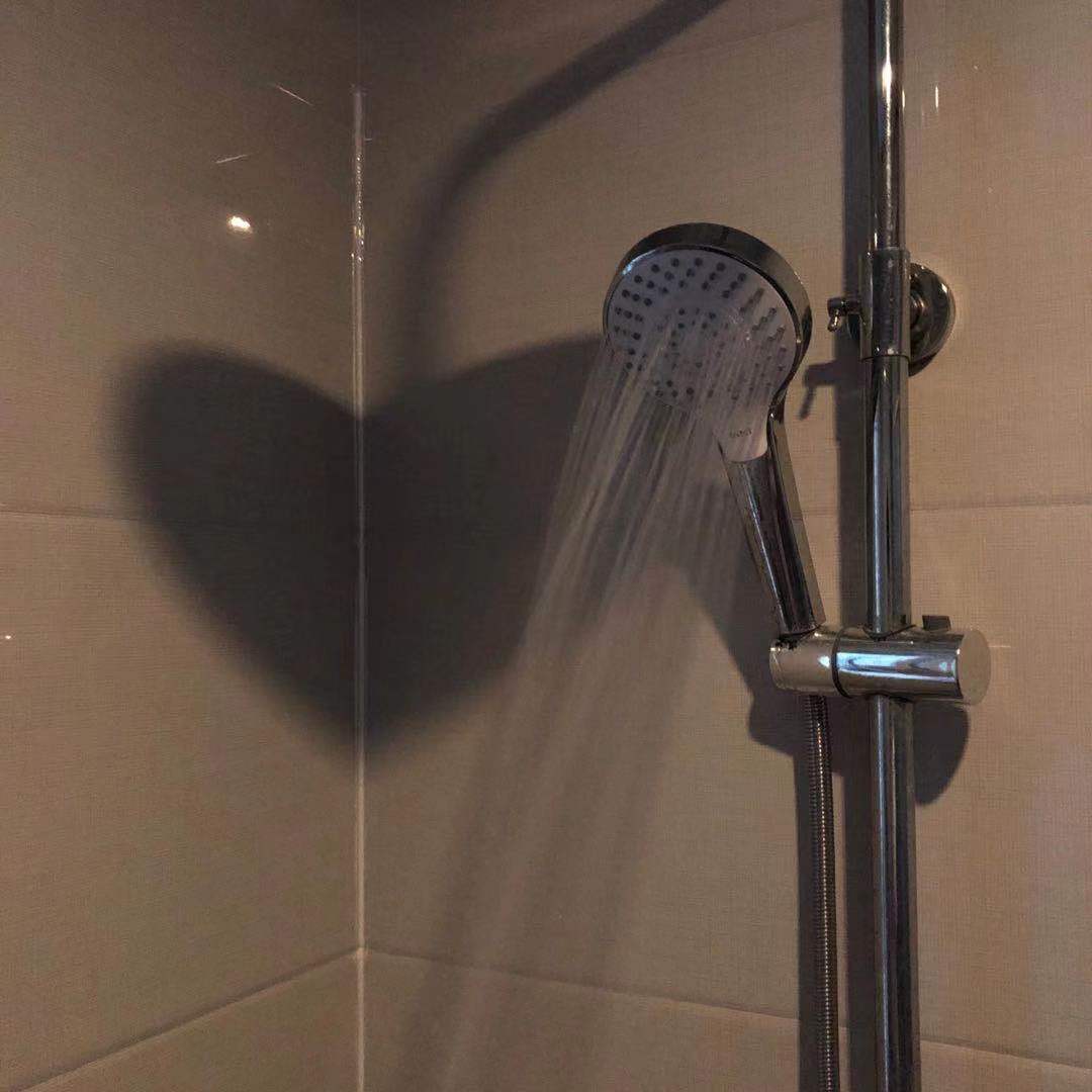 寻寻觅觅封面