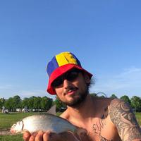 Chavo Frate
