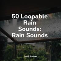 Ambient Music Therapy - Soft Window Rains