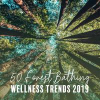 50 Forest Bathing (Wellness Trends 2019: Tranquil of Sense, Amazing Peace, Bath, Daily Relaxation, Full Body Massage, Stress and Pain Relief, Healing Nature)