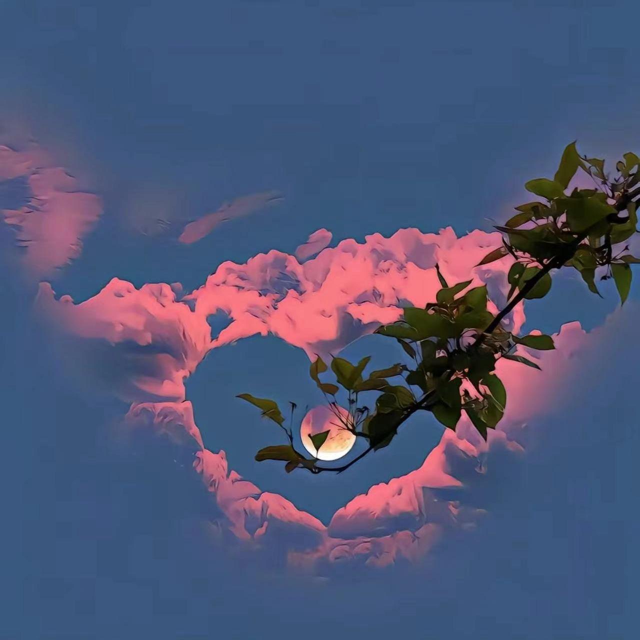 随身听2000封面