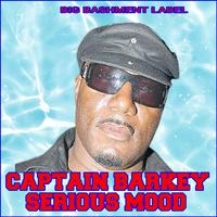 Serious Mood (feat. Captain Barkey)