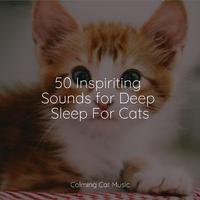 50 Inspiriting Sounds for Deep Sleep For Cats