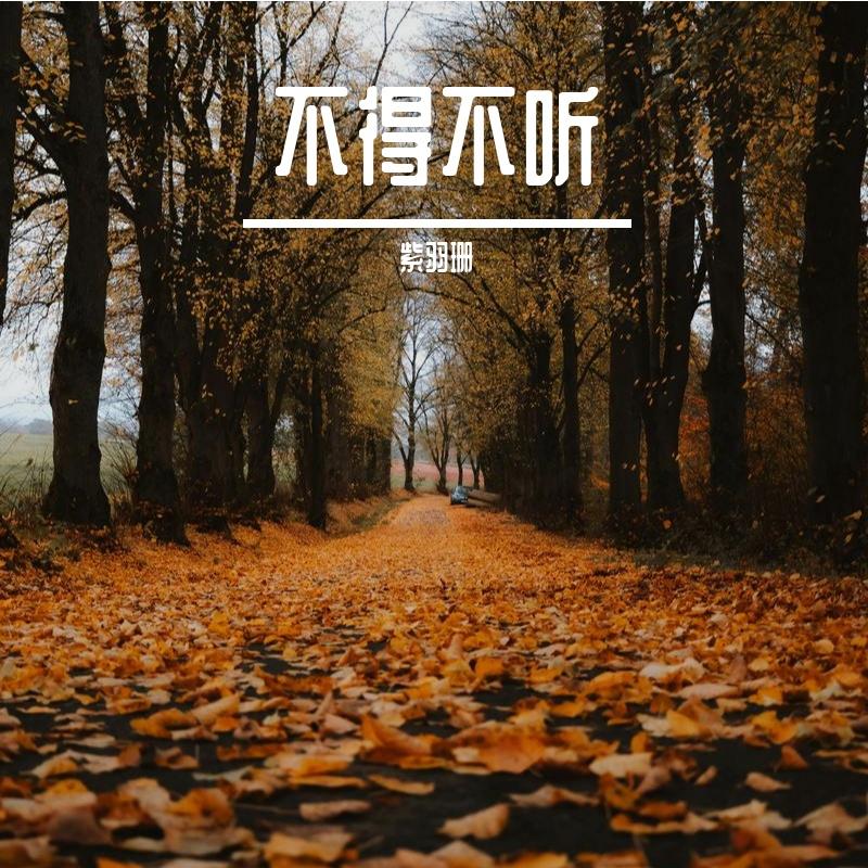 晴空的邮差封面