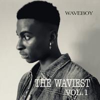 The Waviest, Vol. 1