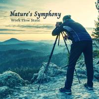 Nature's Symphony: Work Flow State