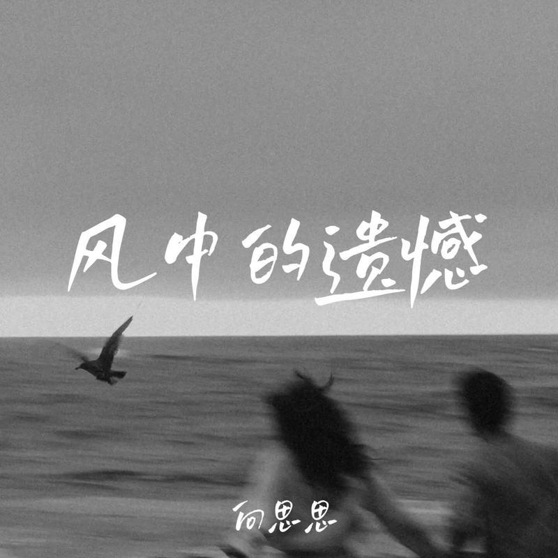 风中的遗憾 (女版伴奏) - 向思思封面