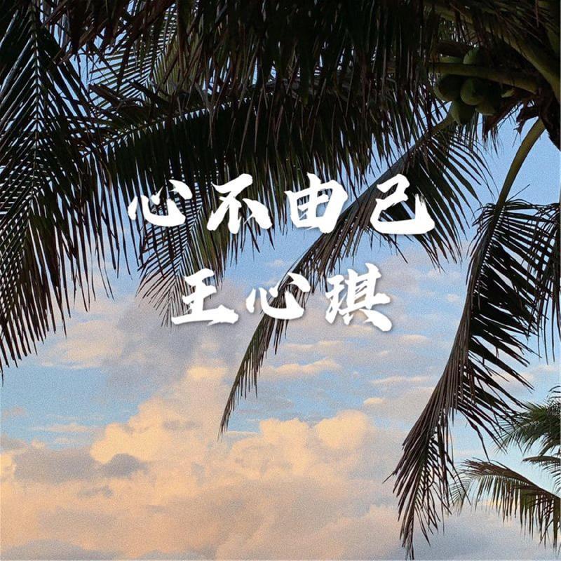 心不由己封面