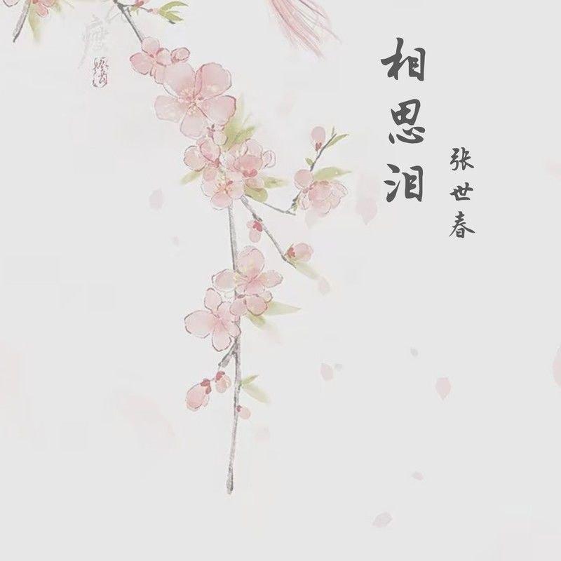 相思泪（伴奏）封面