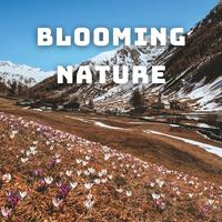 Blooming Nature - 3 hours